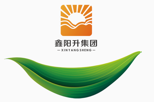 端午安康